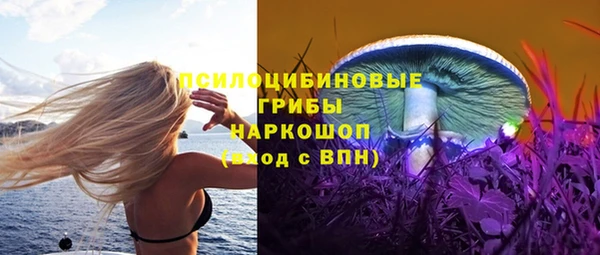 СК Беломорск